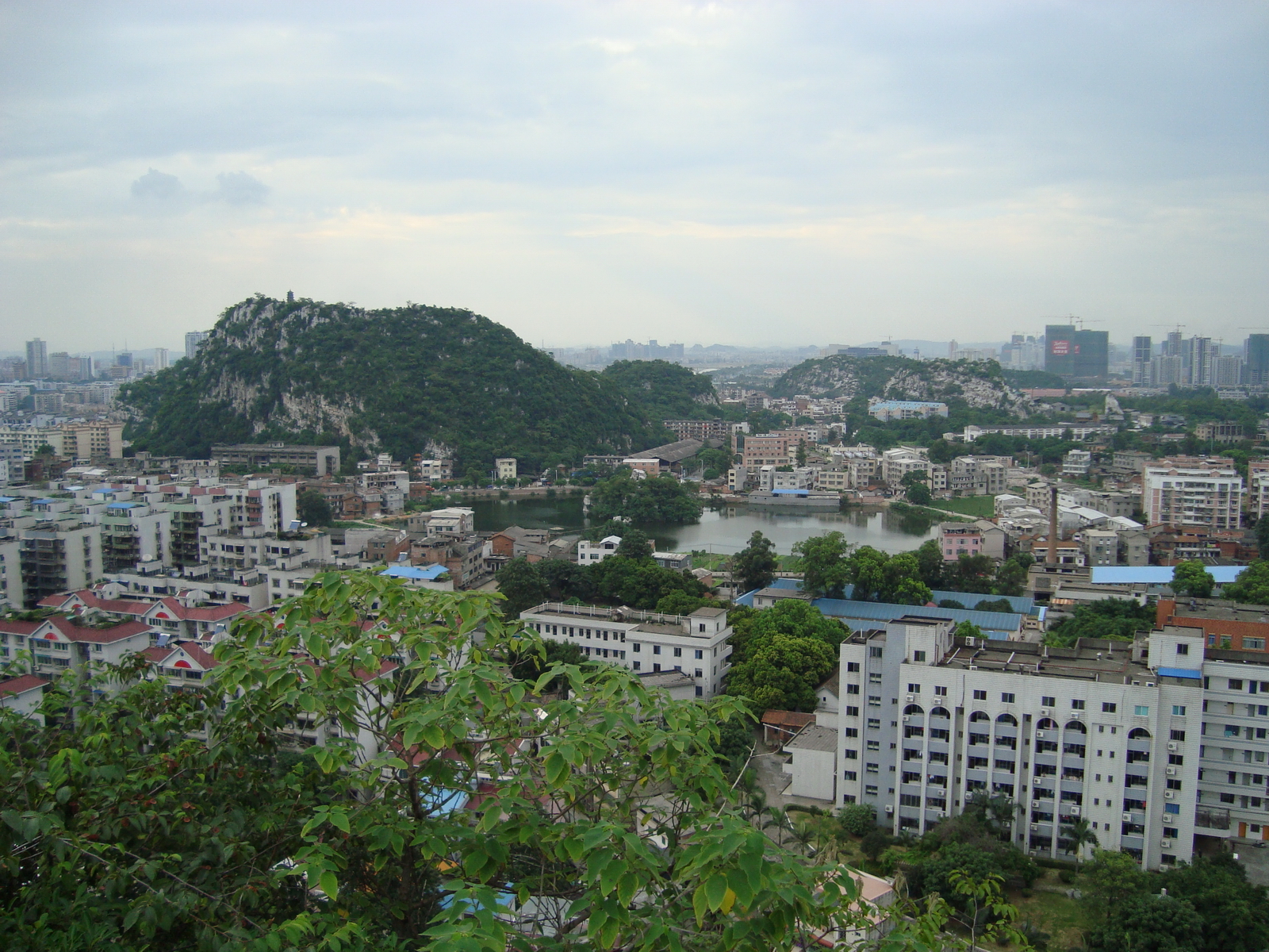 DSC02438.JPG
