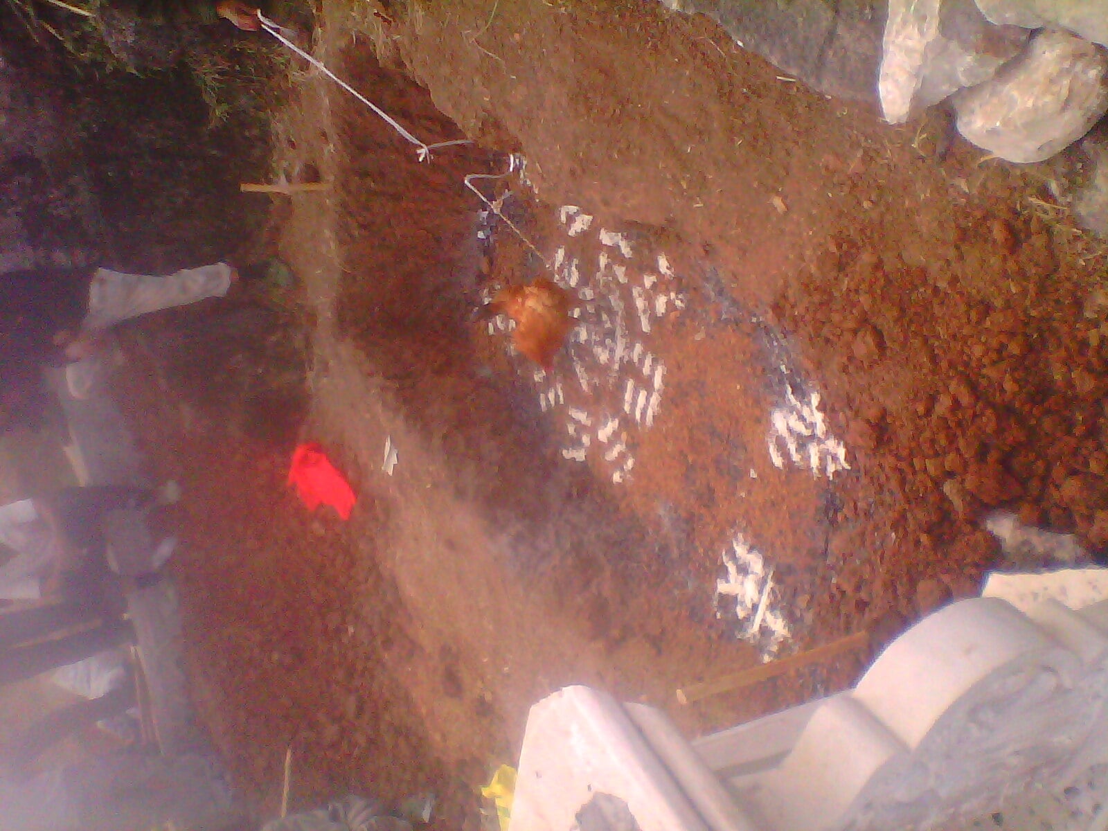 IMG10101.jpg