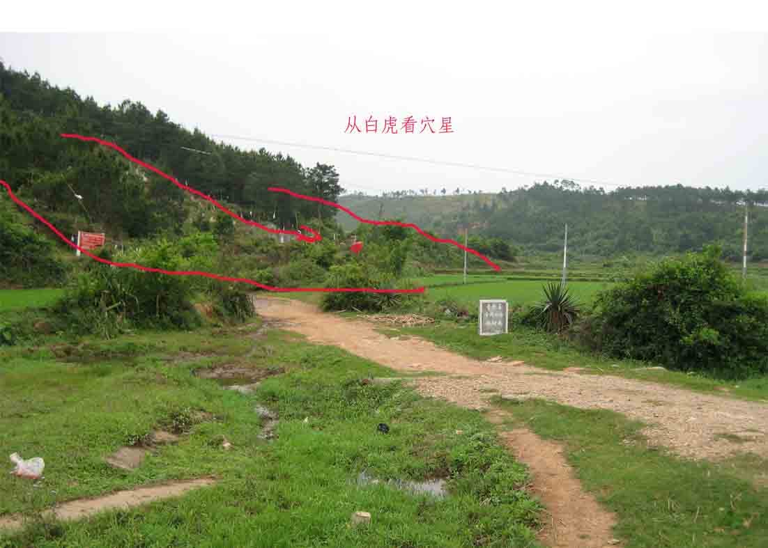 侧看穴星.jpg