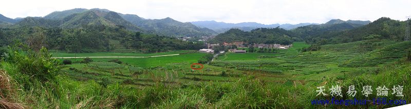 坟后看.jpg