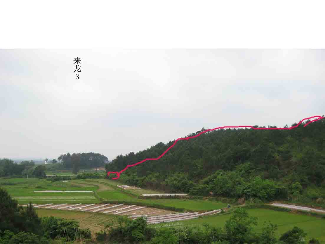 来龙3.jpg