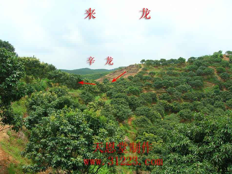 来龙2.jpg