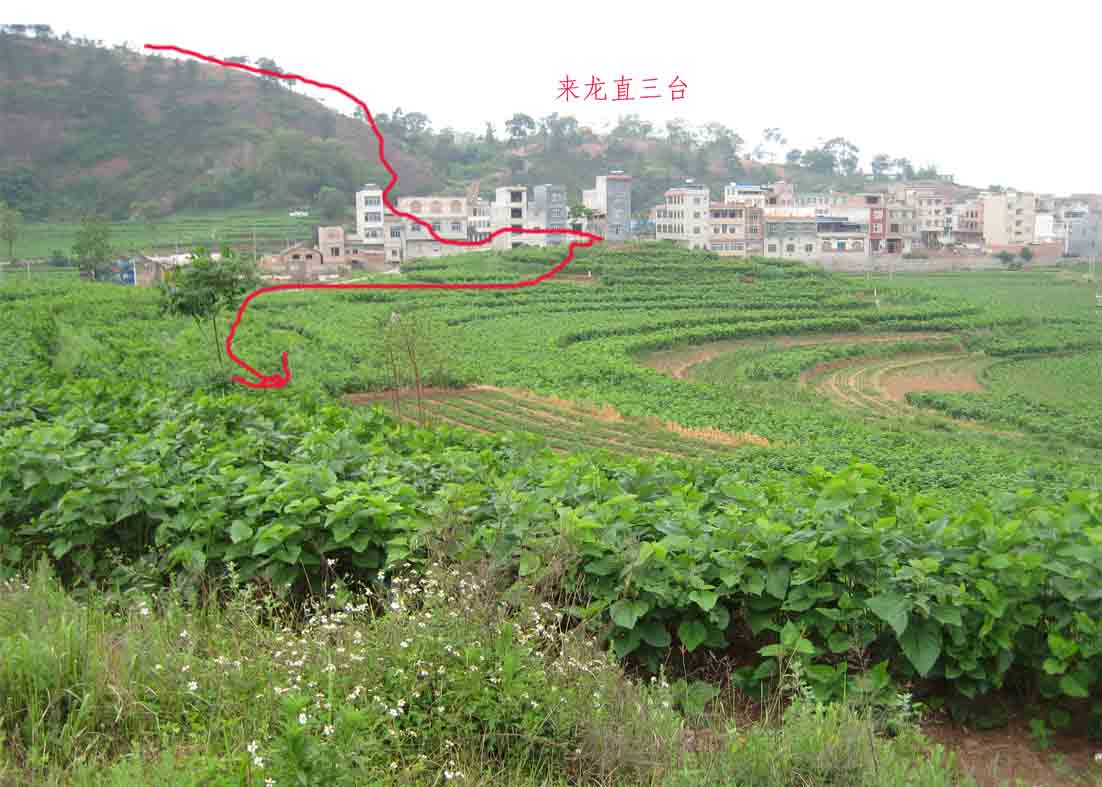 来龙3.jpg