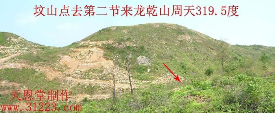 来龙2.jpg