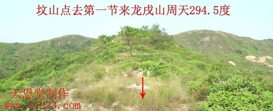 来龙1.jpg