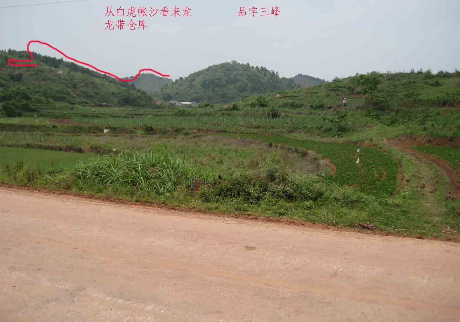 来龙3.jpg