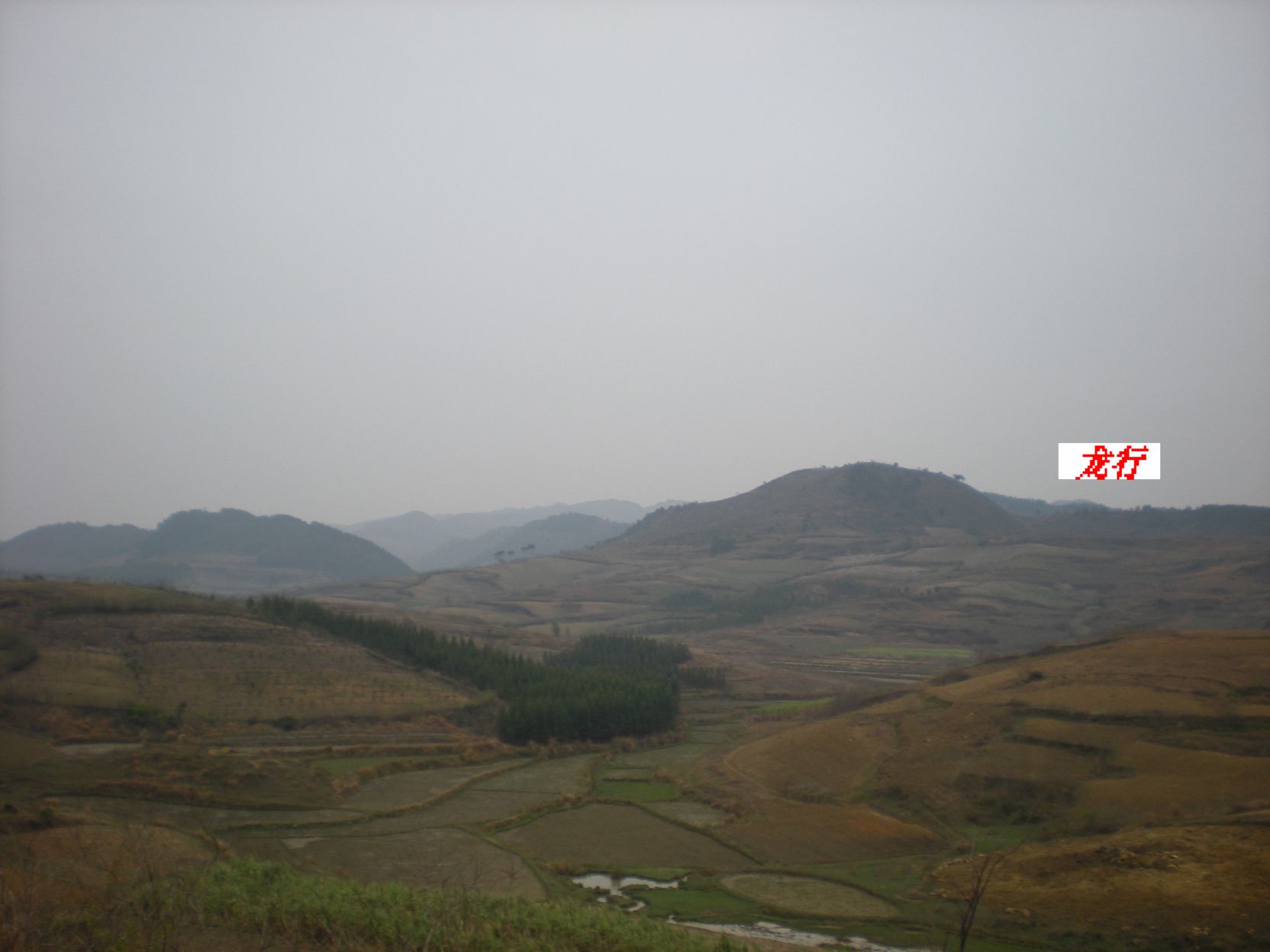 来龙1.jpg