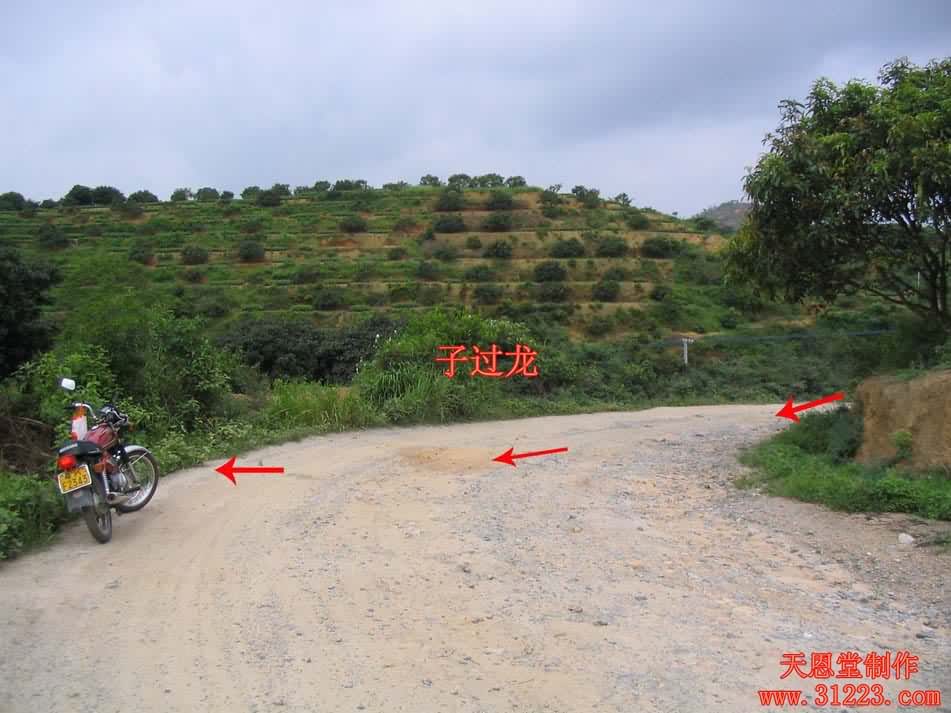 来龙2.jpg