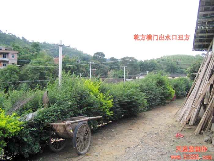横门右边去水.jpg