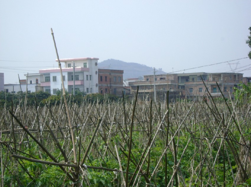 远靠庚峰.jpg