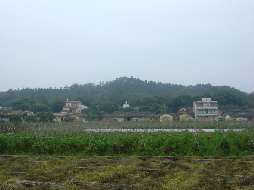 远照2.jpg