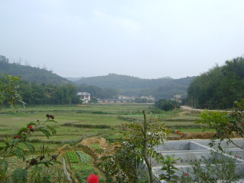 远照.jpg