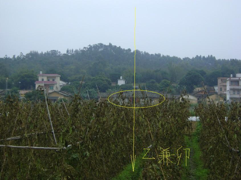 远照1.jpg