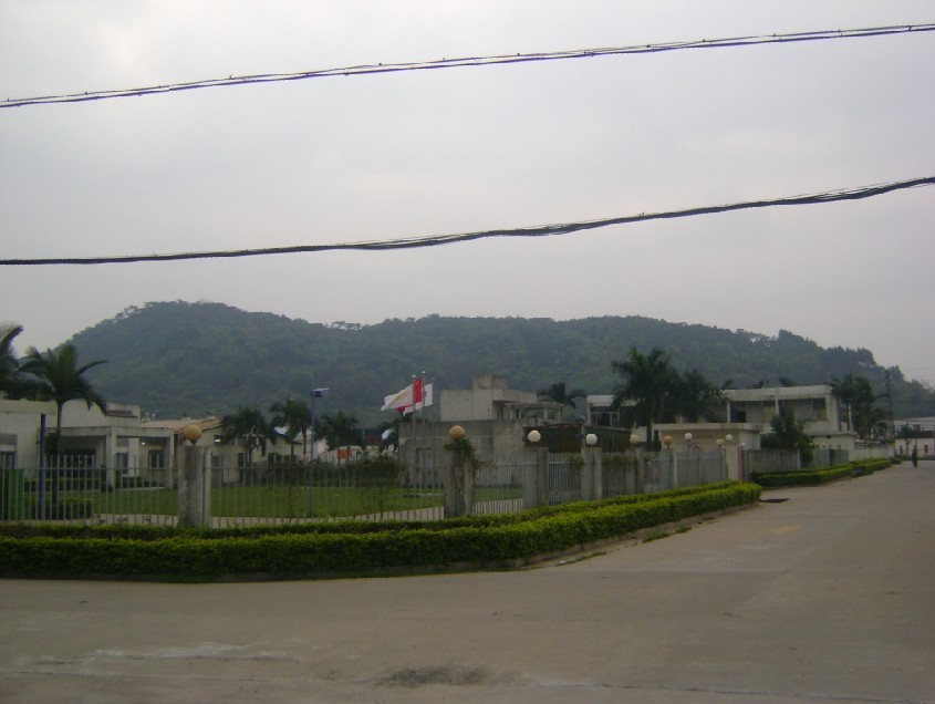 远看后龙山.jpg