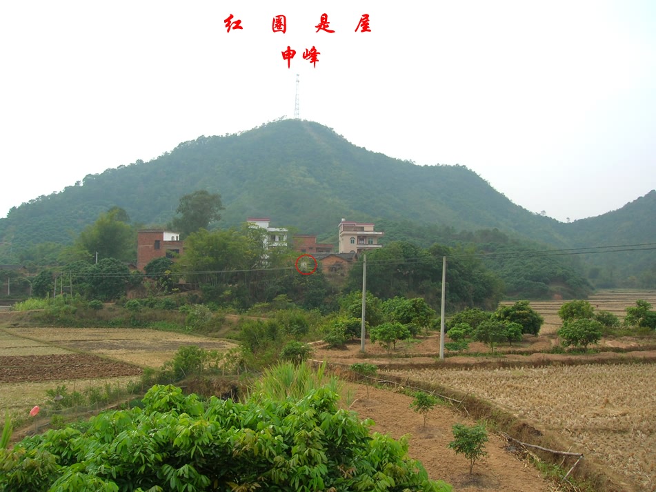 远看后龙山2.jpg