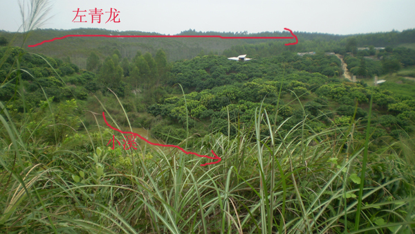 03P1010006副本.jpg