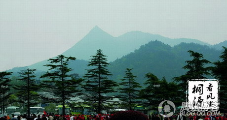 a8014c086e061d953d0beba47bf40ad163d9cad9.jpg
