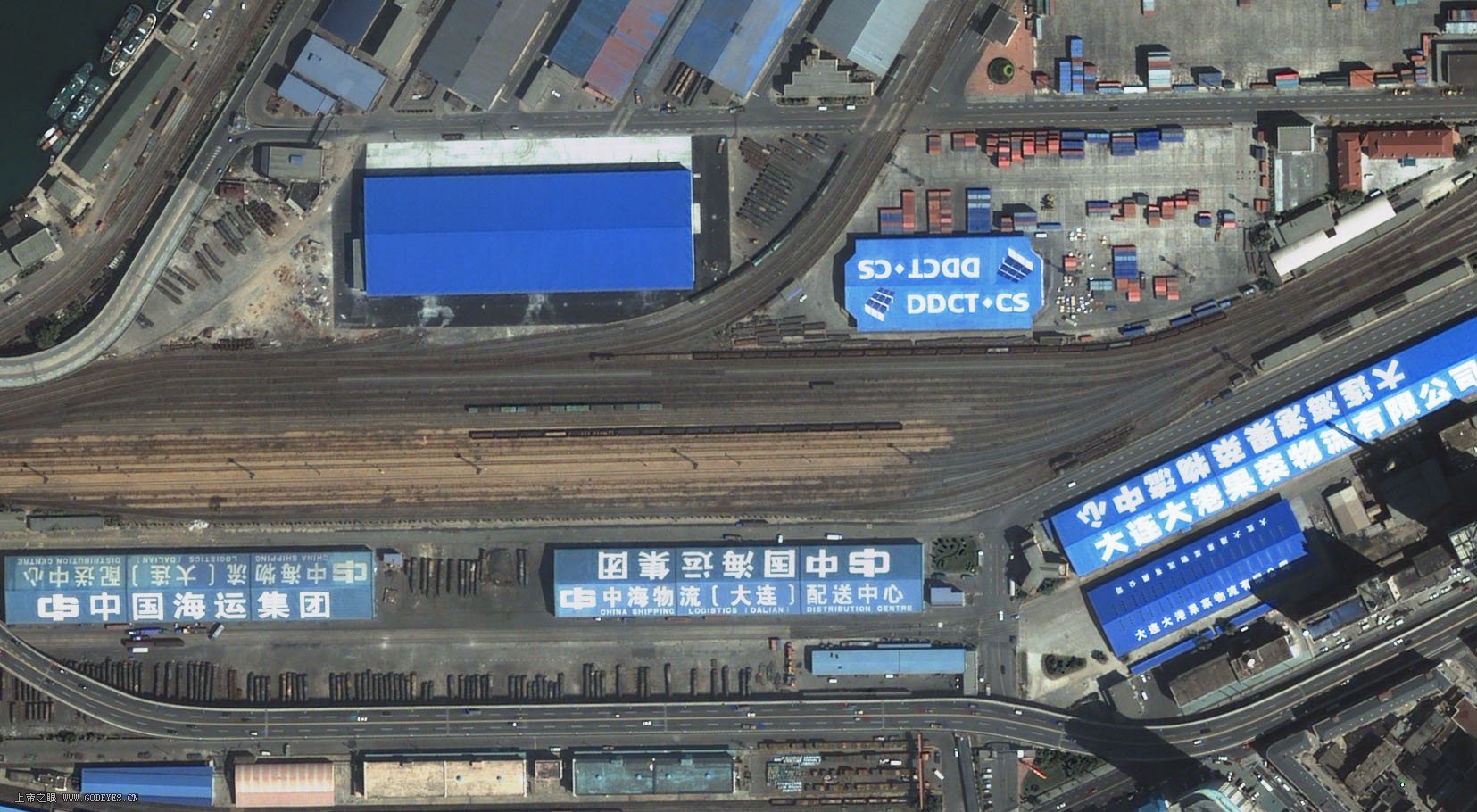 快鸟4~1.JPG