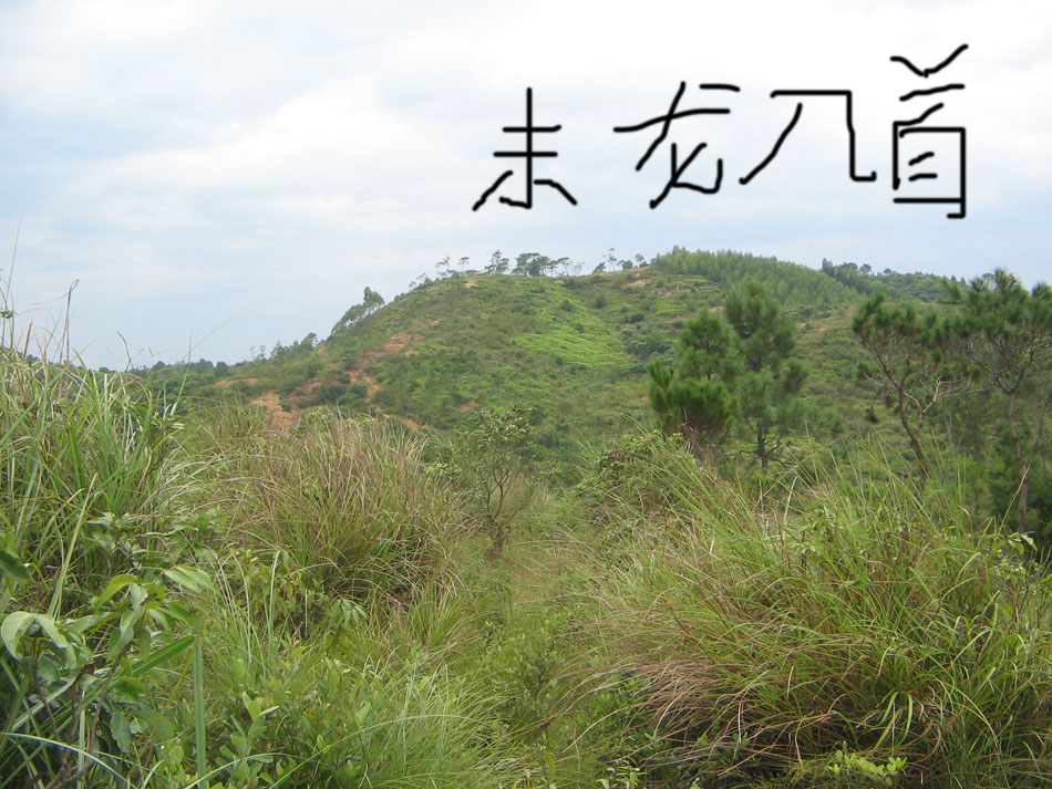入首未龙.jpg