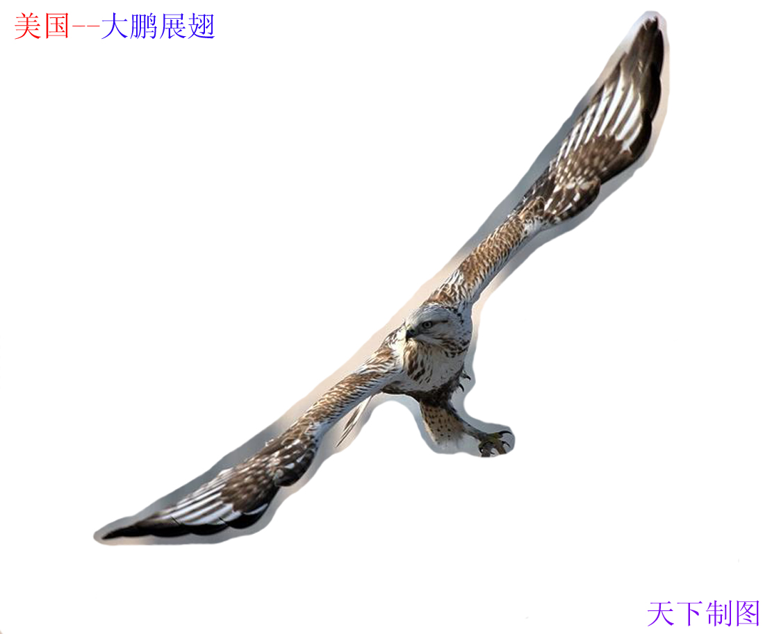大鹏展翅.jpg