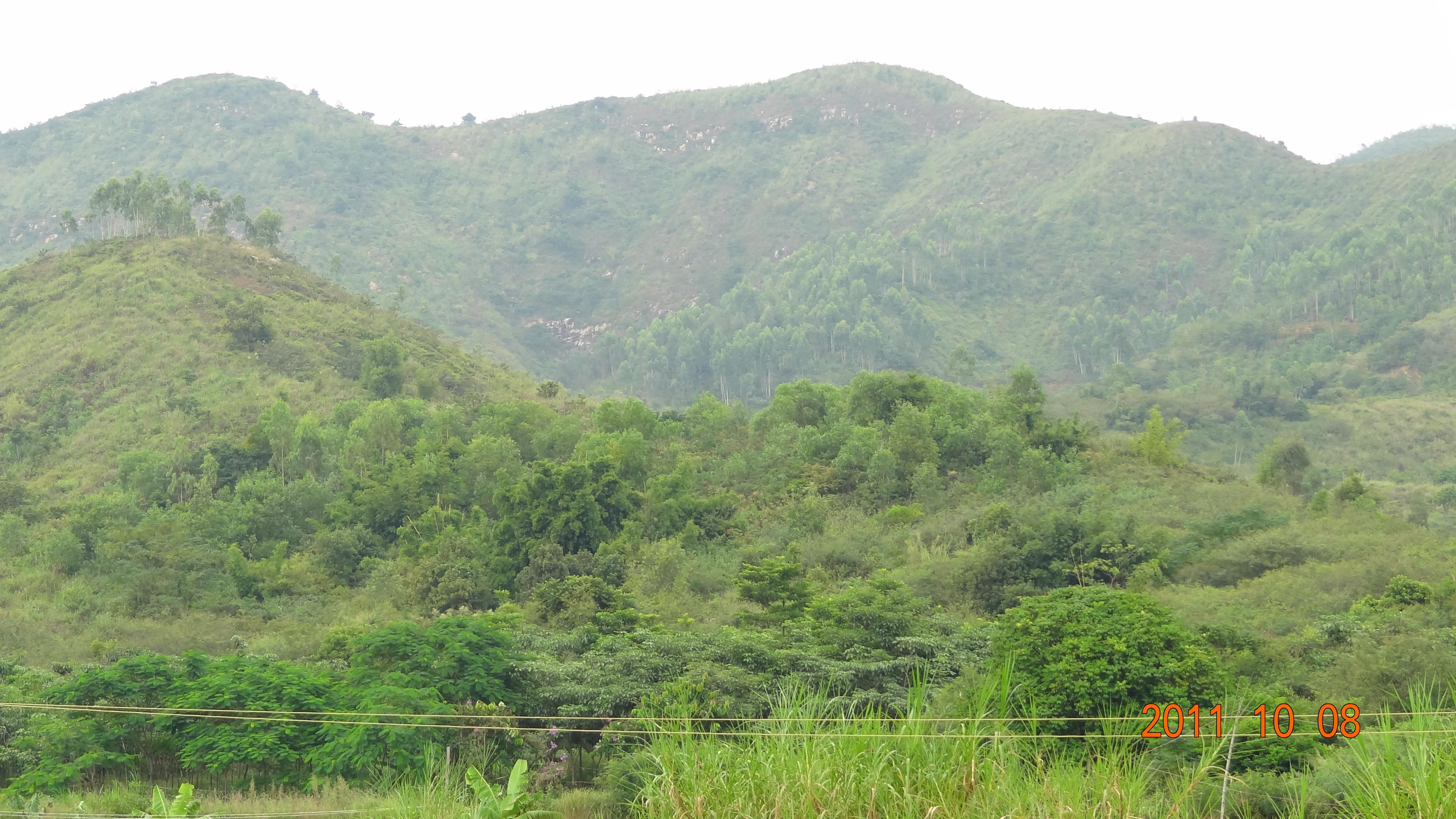 小山一部分.JPG