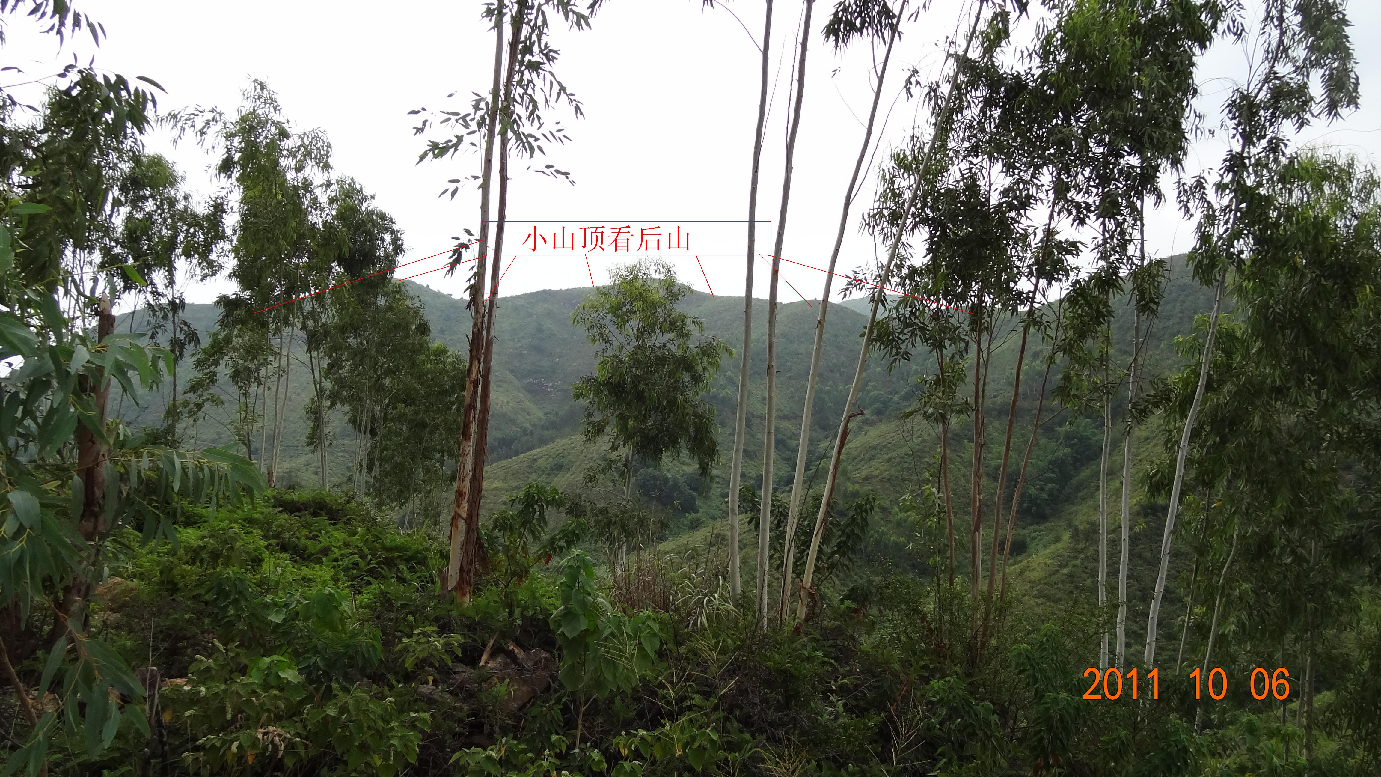 小山顶后山.JPG