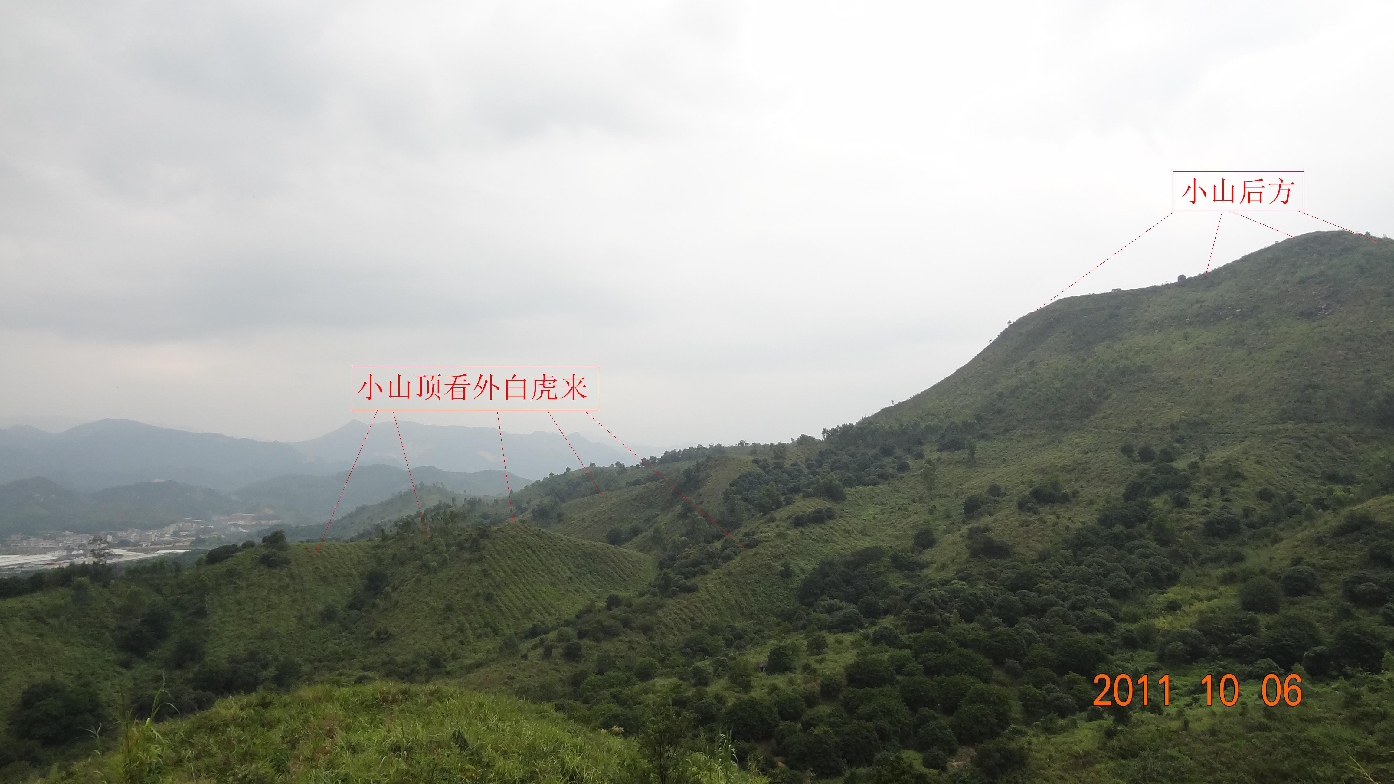 小山顶看白虎1.JPG