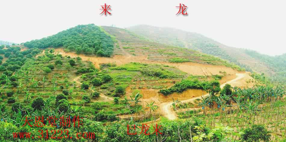 巳字来龙.jpg