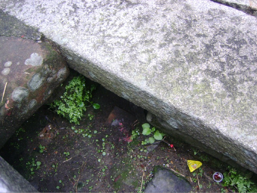 天井水口丁正针中线.jpg