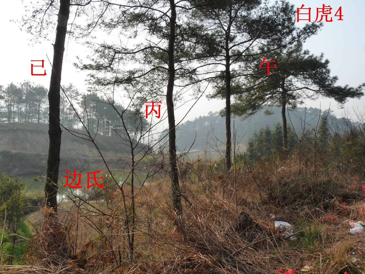 右4.jpg