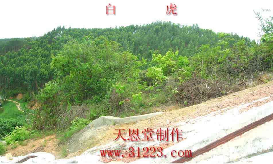 右边.jpg