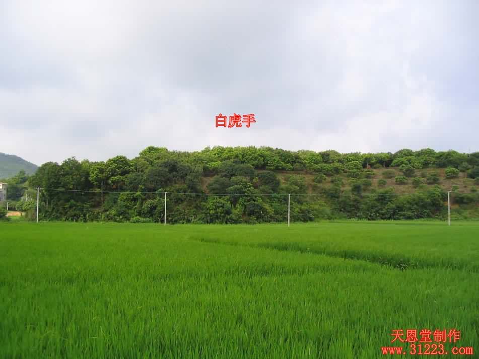 右边.jpg