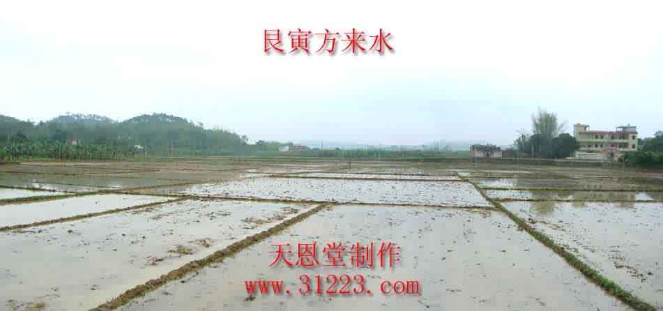 右边来水方2.jpg
