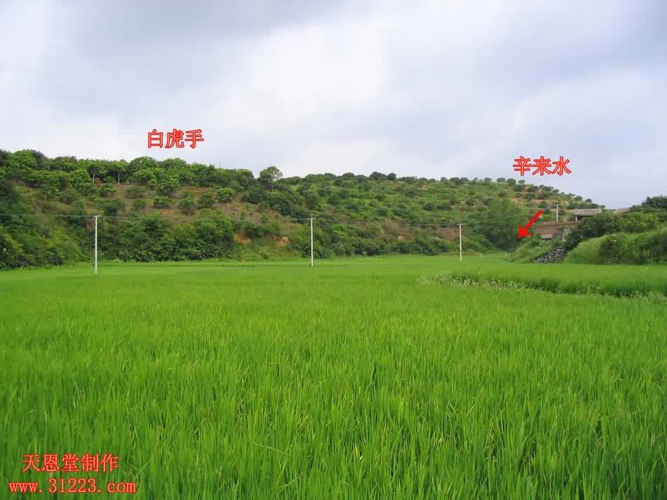 右边2.jpg