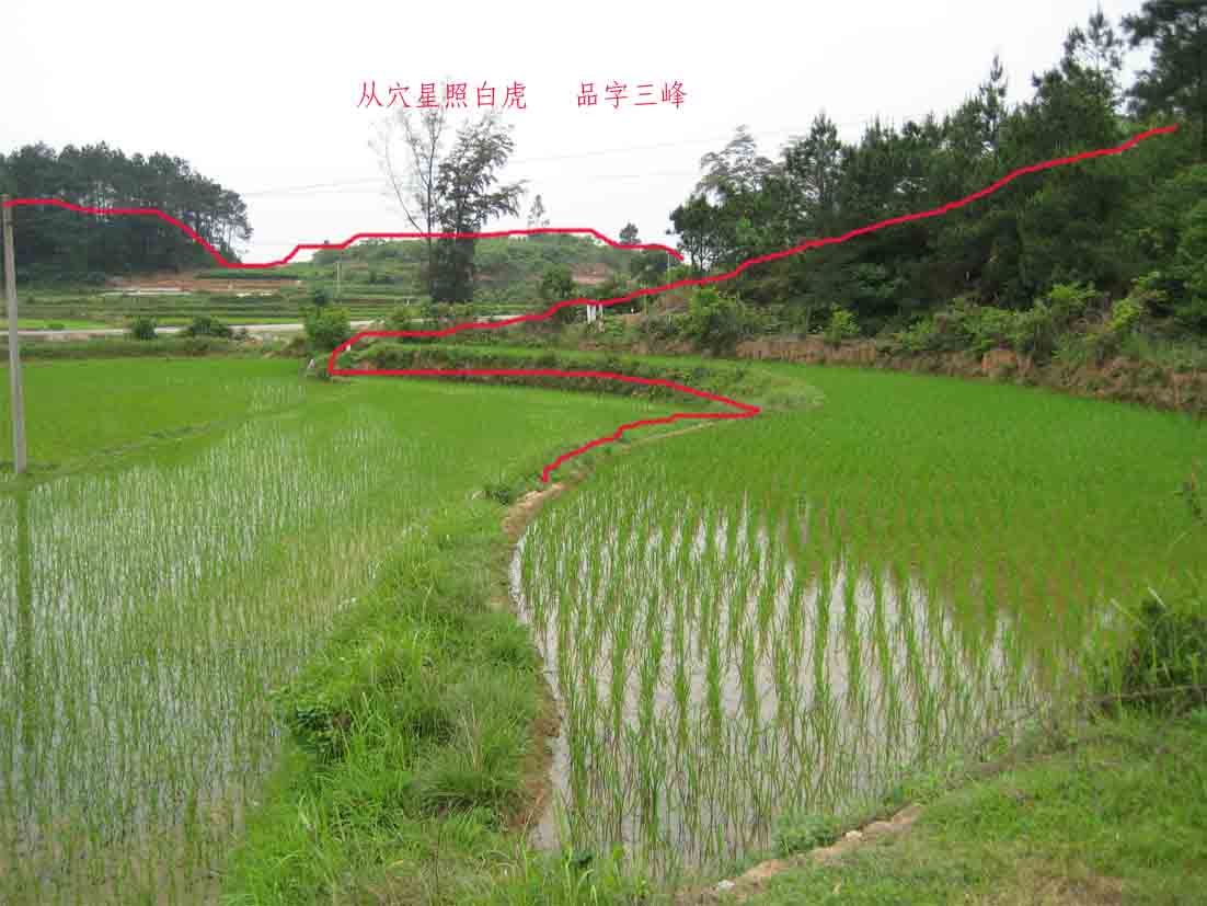 右边.jpg