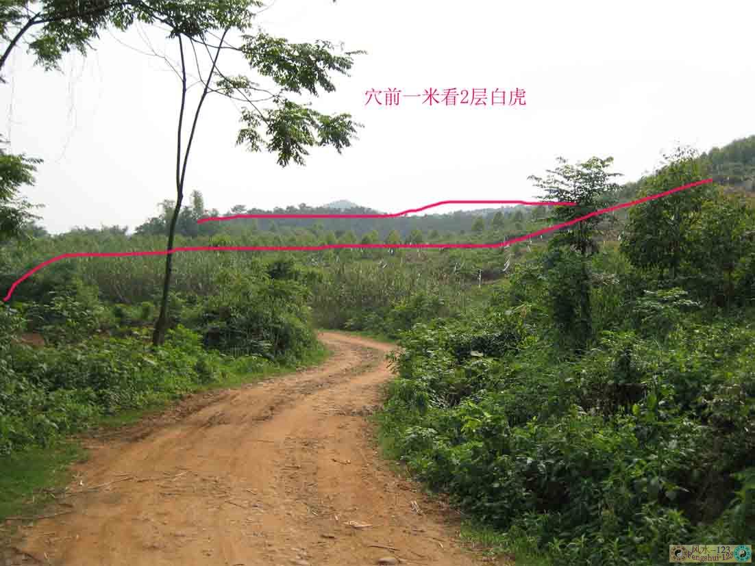 右边.jpg
