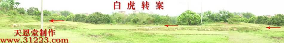 右边.jpg