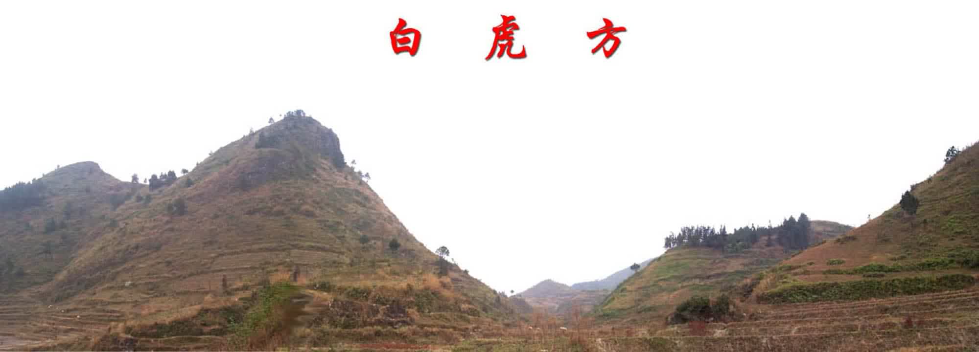 右边.jpg