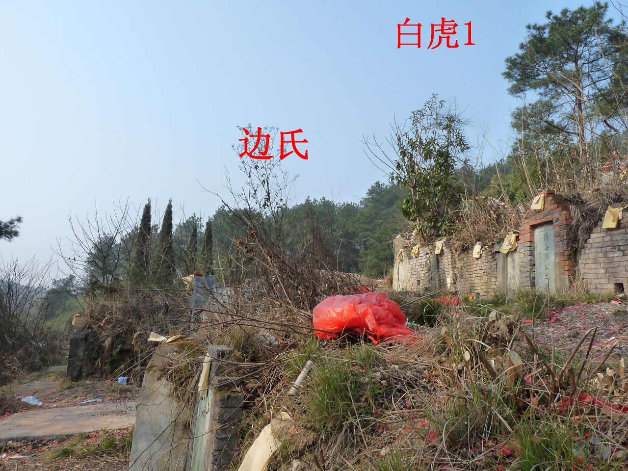 右1.jpg