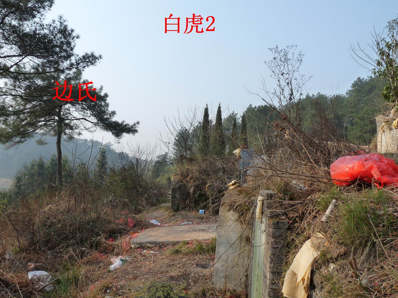右2.jpg