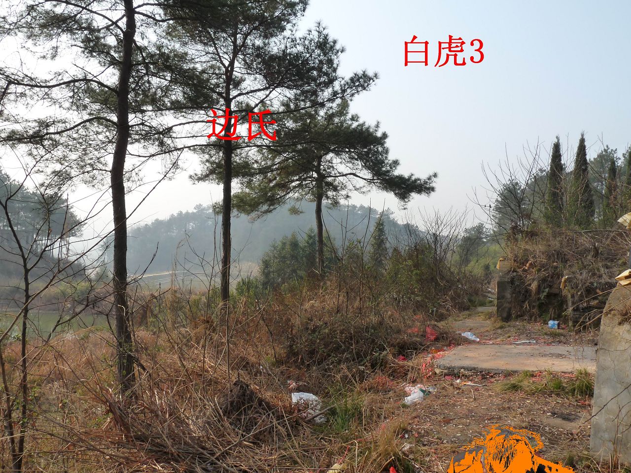 右3.jpg
