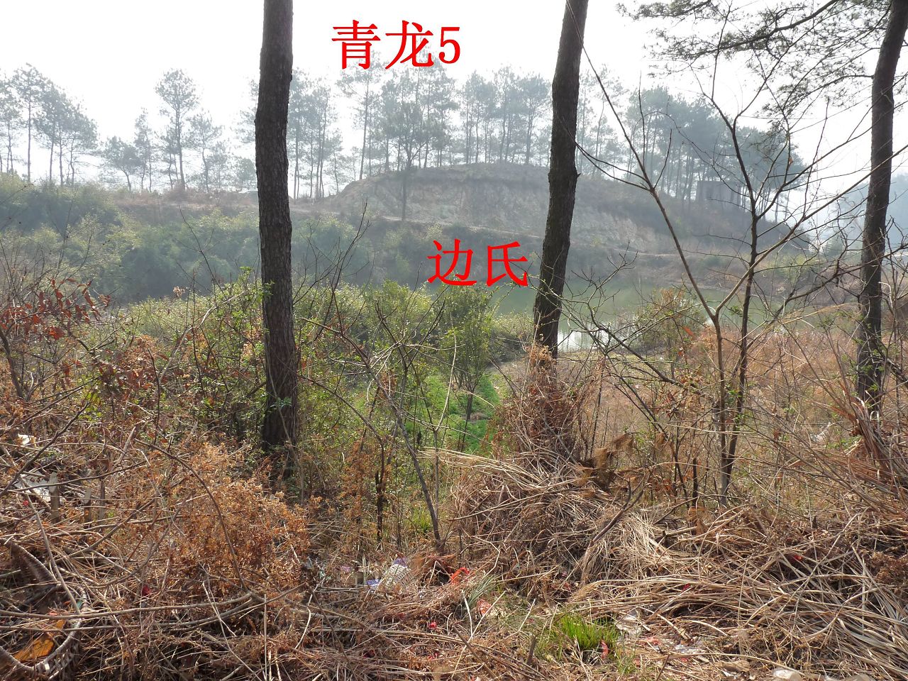 左5.jpg