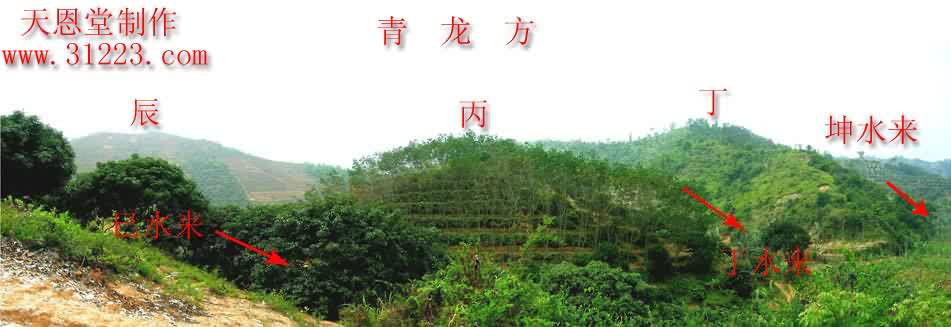 左边.jpg