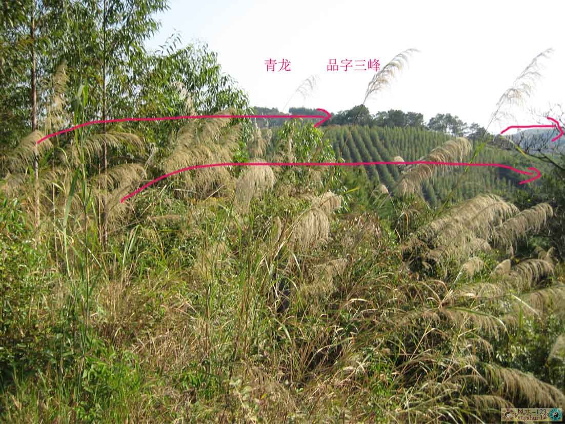 左边.jpg