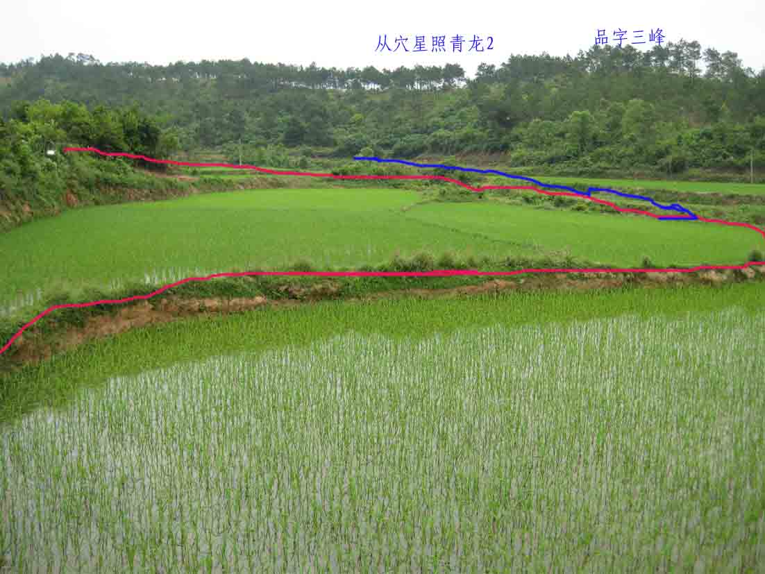 左边2.jpg