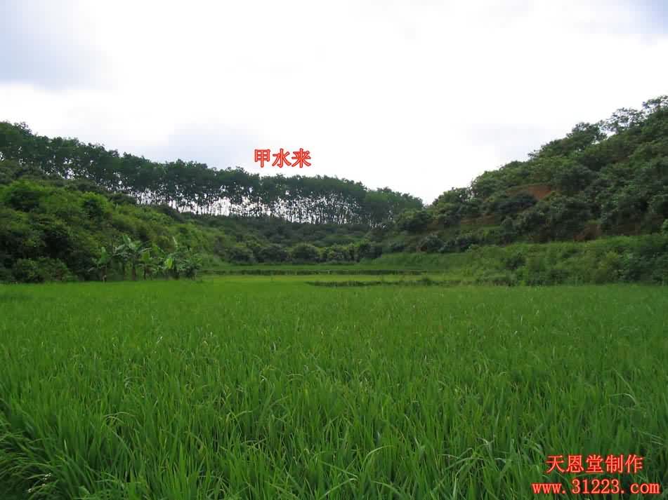 左边来水3.jpg