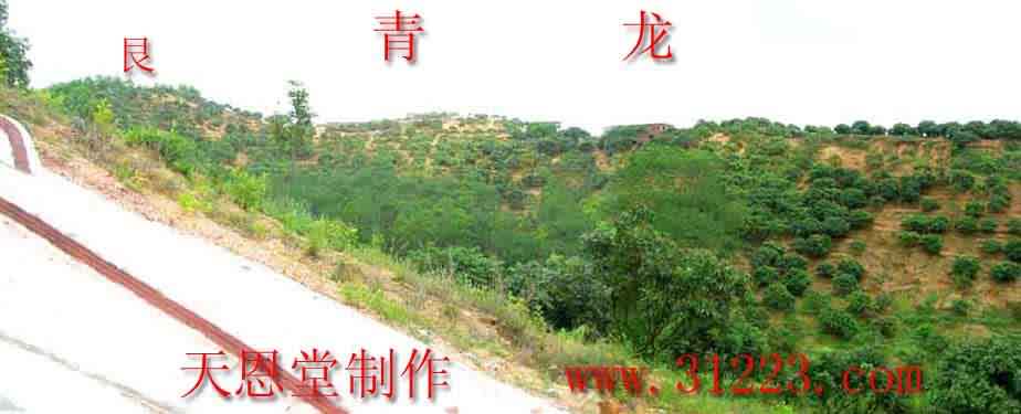 左边.jpg