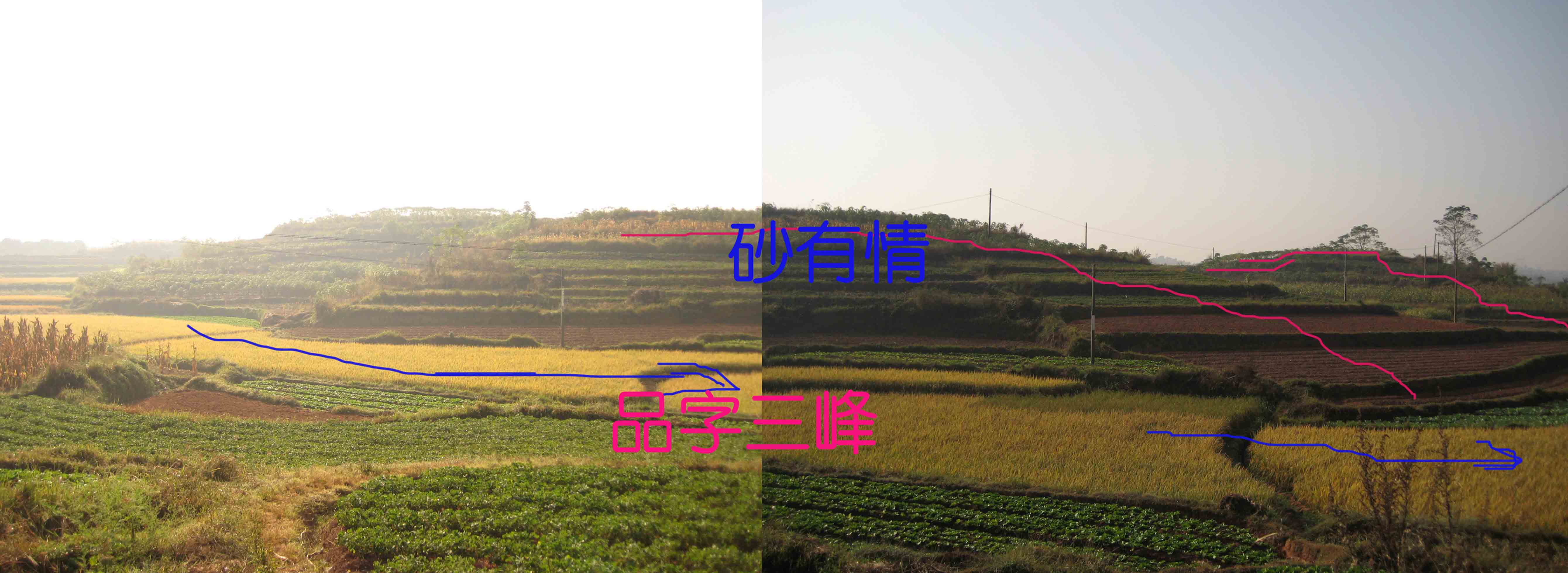 左边.jpg