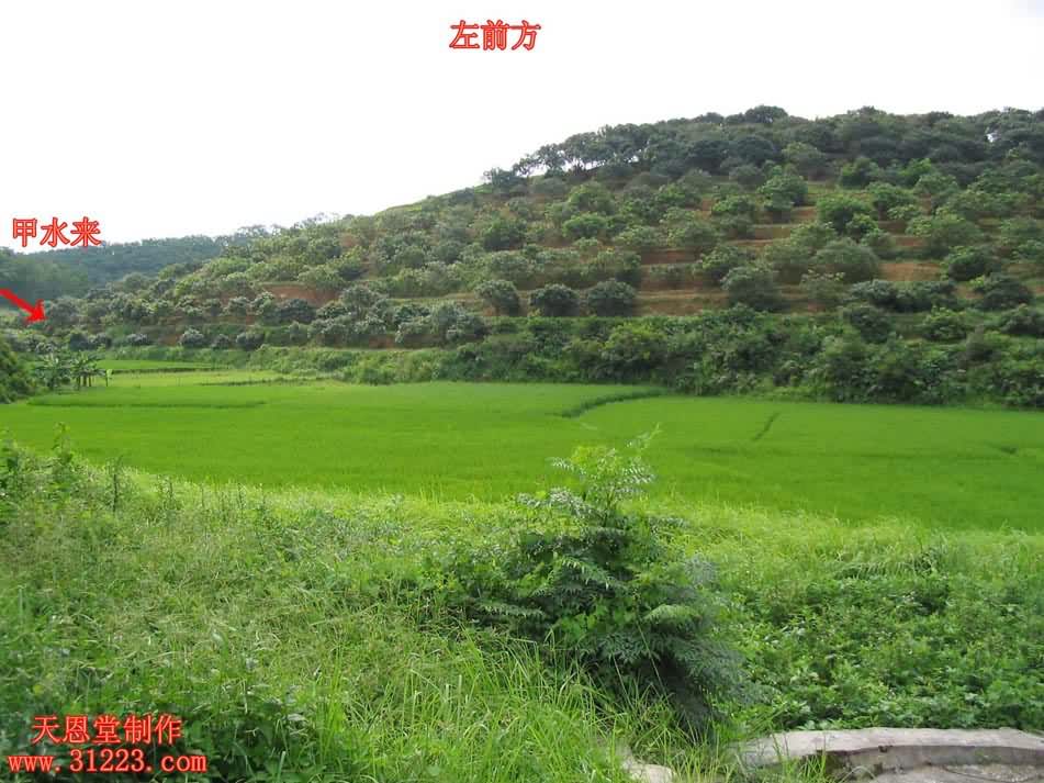 左边1.jpg