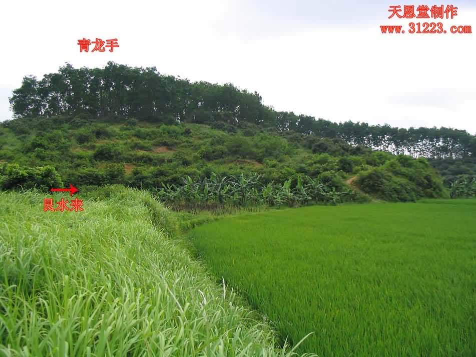 左边来水.jpg